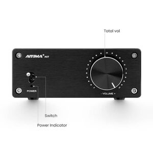 AIYIMA Audio 2.0 Channel Power Amplifier